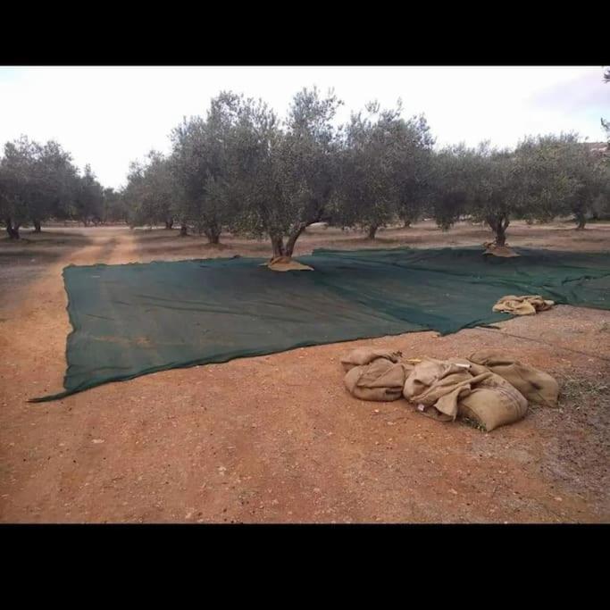 Olive Grove Cottage Skalani Knossós Kültér fotó