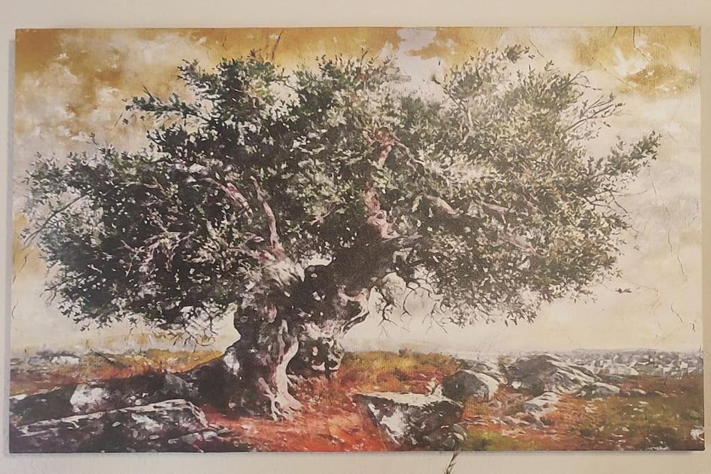 Olive Grove Cottage Skalani Knossós Kültér fotó