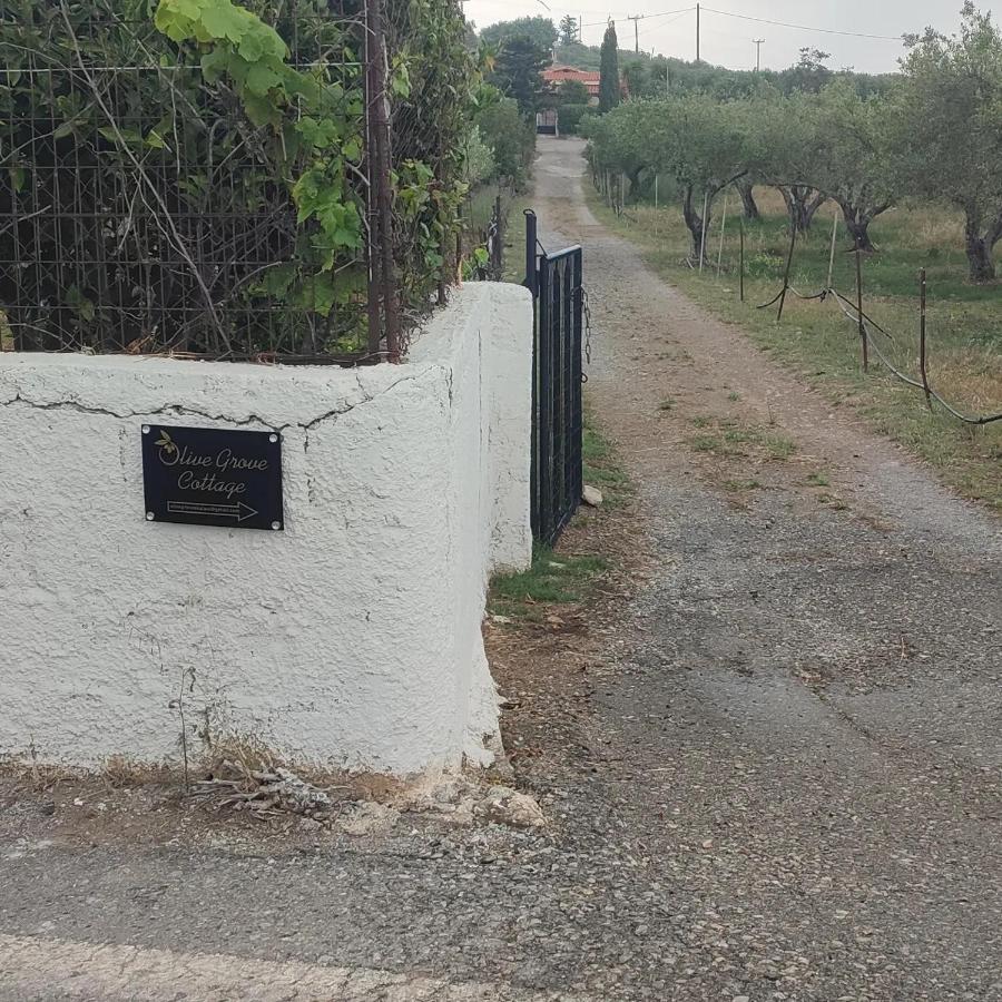 Olive Grove Cottage Skalani Knossós Kültér fotó